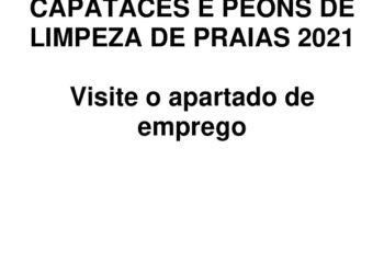 limpeza de praias apartado de emprego