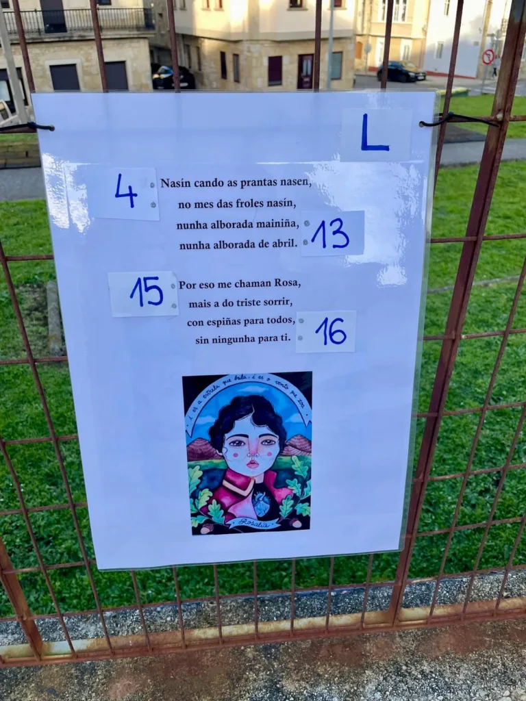 WhatsApp Image 2026-02-24 at 14.34.46