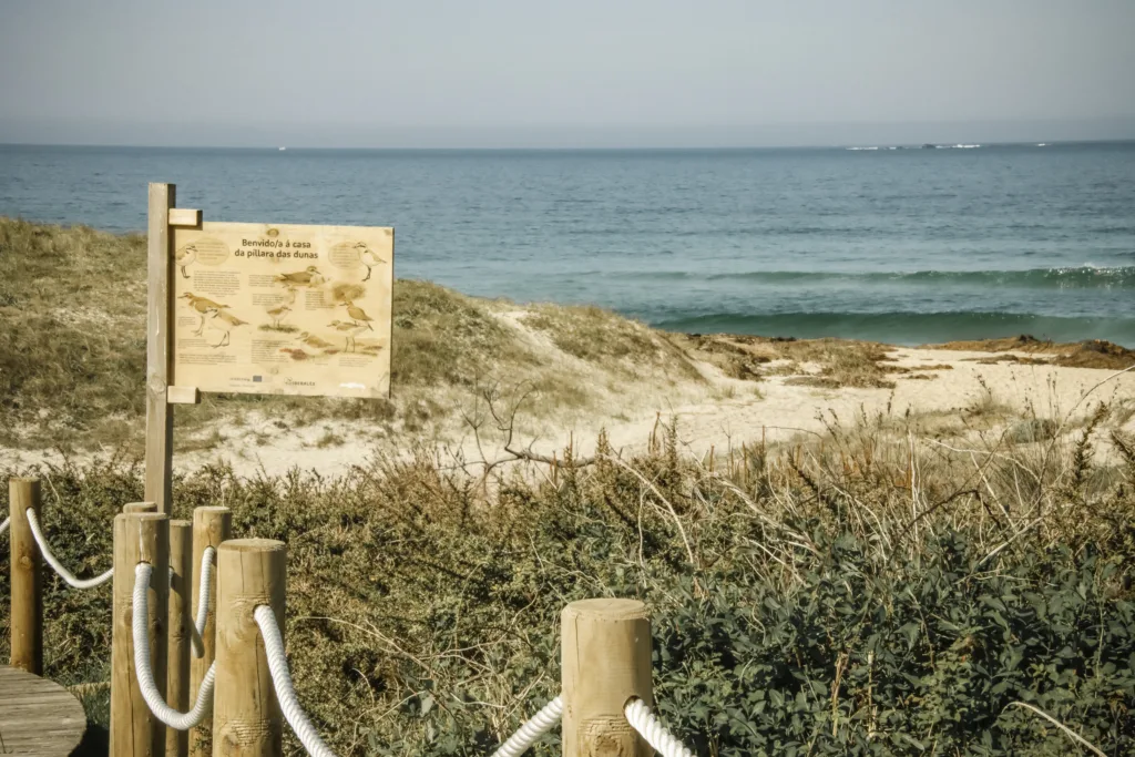 PASARELAS XUÑO E SAN PEDRO-8449