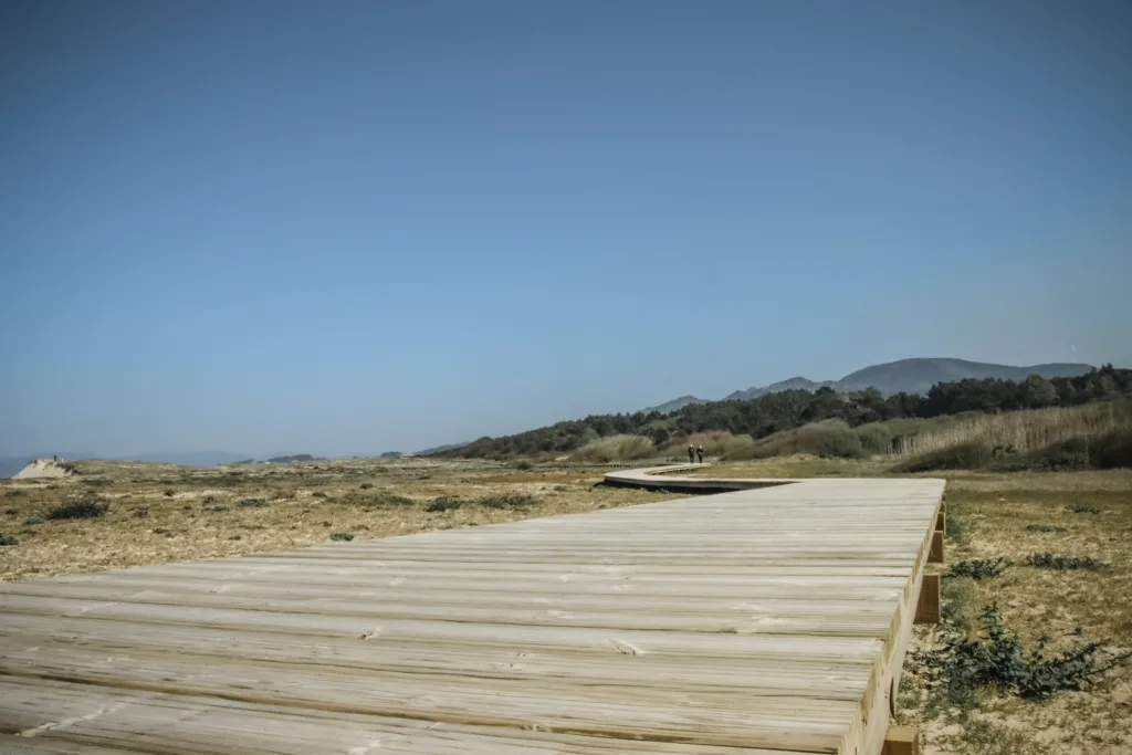 PASARELAS XUÑO E SAN PEDRO-8722