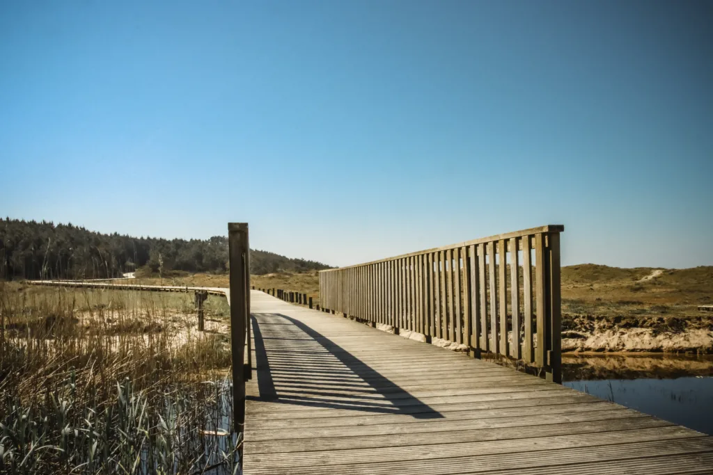 PASARELAS XUÑO E SAN PEDRO-8746