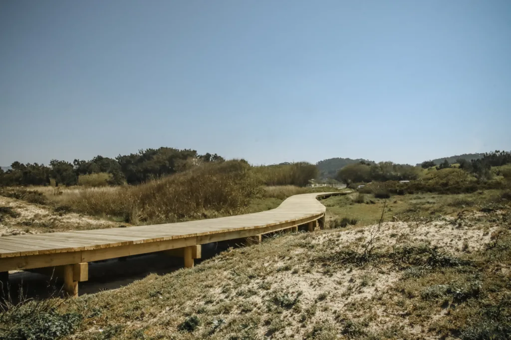 PASARELAS XUÑO E SAN PEDRO-9202