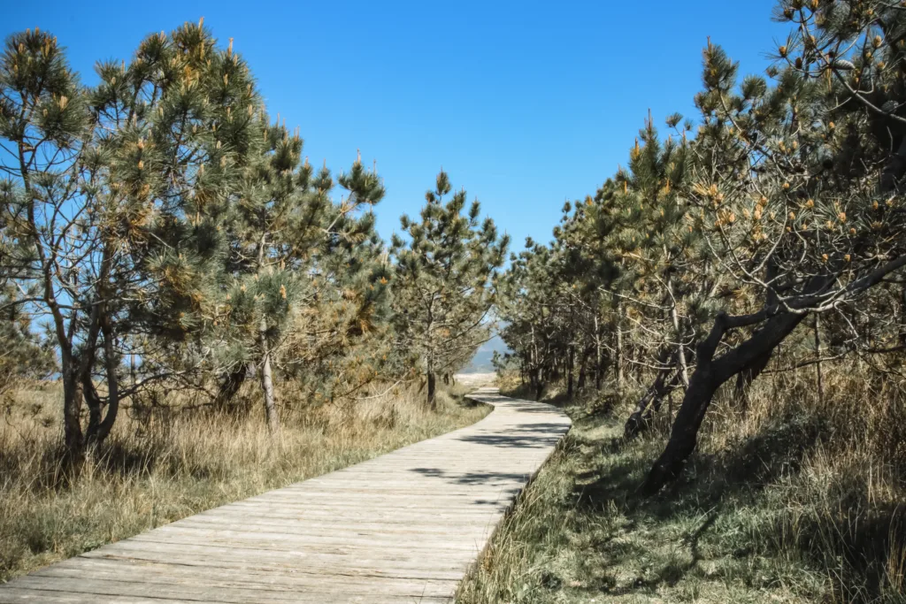 PASARELAS XUÑO E SAN PEDRO-9250